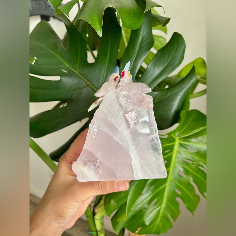 Parrot Carvings on Rose Quartz